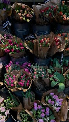 many different types of tulips and other flowers in black buckets on display