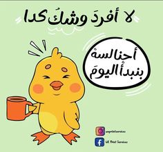 a cartoon chicken holding a coffee cup with arabic writing on the side and an oval speech bubble above it