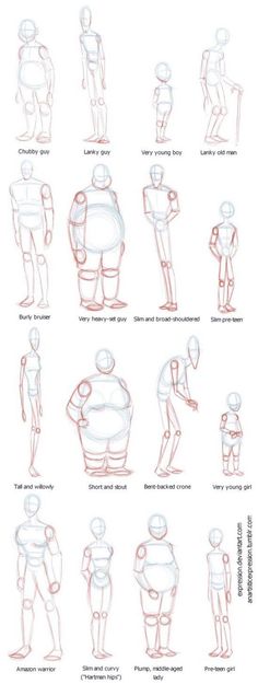 an image of various poses and body shapes for children to learn in the art of animation