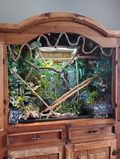 a wooden cabinet filled with lots of plants and rocks in front of a wall mounted fish tank