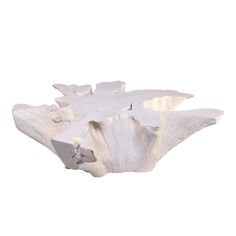 a piece of driftwood is shown against a white background