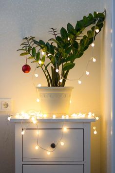 a potted plant sitting on top of a white dresser next to a light string