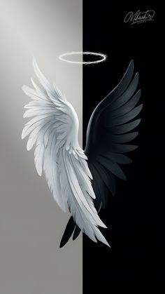 an artistic image of two white and black wings