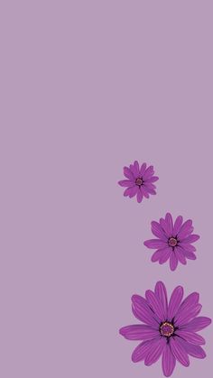 three purple flowers on a light purple background