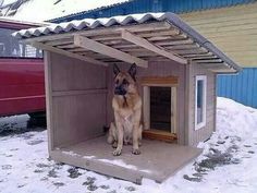 a german shepard dog sitting in his kennel at the snow covered yard with its door open