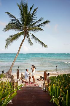 two people sitting on the beach under a palm tree