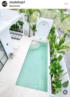 an aerial view of a swimming pool surrounded by greenery and potted palm trees