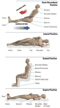 an image of a man doing exercises for the back and side view in different positions