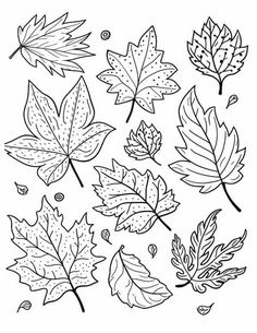 coloring pages with leaves for fall and autumn