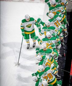 the hockey team is lined up on the ice