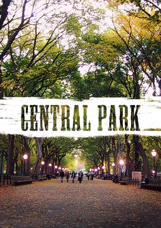 the central park sign is in front of trees and people walking down the path on either side