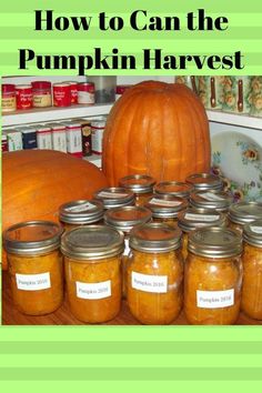 pumpkins and jars with the words how to can the pumpkin harvest? on them