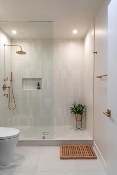 a bathroom with a shower, toilet and plant in it