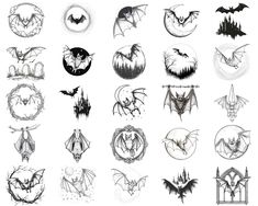 some different types of bats in various shapes and sizes, all drawn with black ink