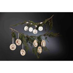 an arrangement of clocks hanging from a tree branch