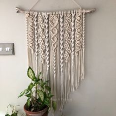 a potted plant sitting next to a macrame wall hanging