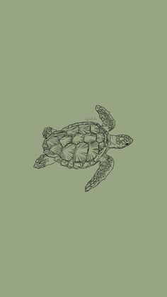 a black and white drawing of a turtle