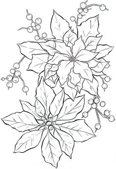 a drawing of poinsettia with leaves and berries