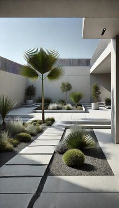 an outdoor courtyard with trees and plants on the ground, in front of a white building