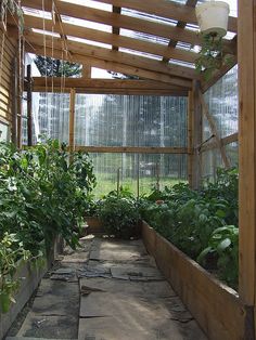 the inside of a wooden greenhouse with many plants