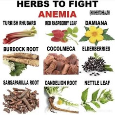 Alkaline Herbs, Medical Herbs, Magia Das Ervas, Food Health Benefits, Female Health, Natural Healing Remedies, Dr Sebi, Herbal Healing, Herbs For Health