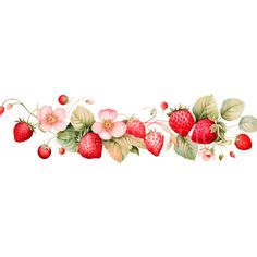 a watercolor painting of strawberries and flowers