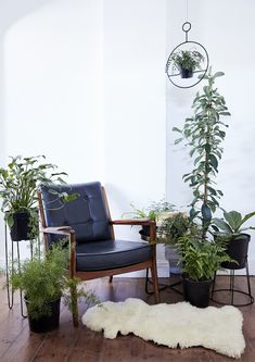 a chair and some plants in a room