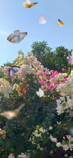 several butterflies flying over flowers and trees