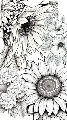 sunflowers and other flowers are shown in black and white, as well as the outline