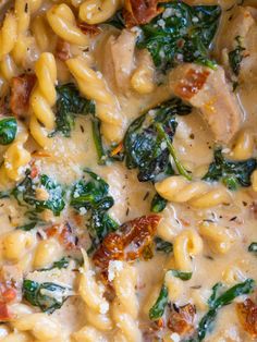 pasta with spinach and chicken in a white sauce