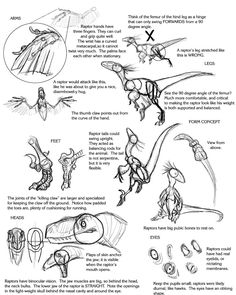 an image of how to draw dinosaurs