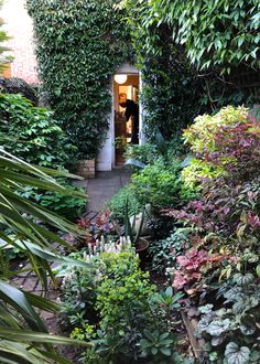 an open door in the middle of a garden filled with lots of plants and flowers