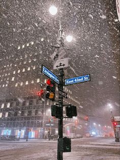 a street sign and traffic light in the snow