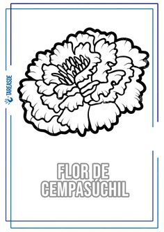 an image of a flower with the words flor de cempaschil