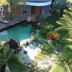 an aerial view of a pool surrounded by palm trees and other greenery, with a house in the background