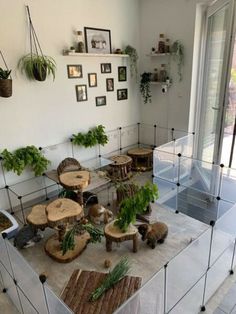 a room filled with lots of different types of furniture and plants on top of it