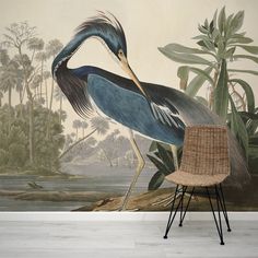 Louisiana Heron Bird Wallpaper Mural with Rattan Chair Heron Wallpaper, Heron Illustration, Artistic Wallpaper, Birds Of America, Jungle Wallpaper, Tropical Wallpaper, Stock Wallpaper, John James Audubon, Bird Wallpaper