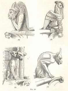 four different types of animals on display in black and white engravings, including an egyptian sphinx