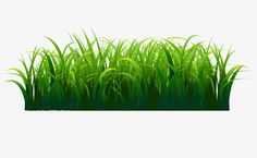 the grass is green and ready to be used as a background for an advertisement or presentation