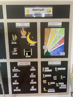 a bulletin board with pictures and words about the different types of things that are on display