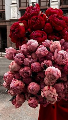 a person holding a bunch of red flowers