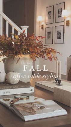 a coffee table with books and a plant on it