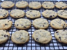 chocolate chip cookies cooling on a rack in the oven, ready to be baked or eaten