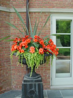 a planter with orange flowers in front of a brick building