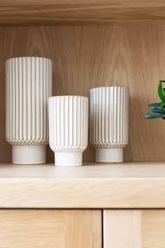 three white vases sitting on top of a wooden shelf next to a potted plant