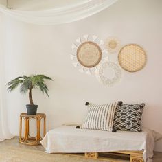 a living room filled with furniture and a potted plant on top of a table