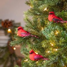 three red birds sitting on top of a green christmas tree