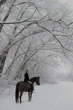 a woman riding on the back of a brown horse through a snow covered forest filled with trees