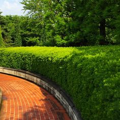 a brick path in the middle of a lush green park