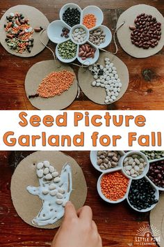 seed pictures are arranged on paper plates and placed in bowls